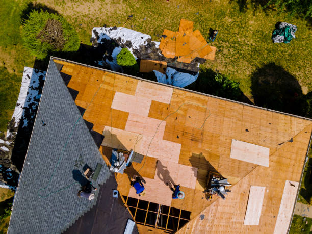 Best Roof Gutter Cleaning  in Porterdale, GA